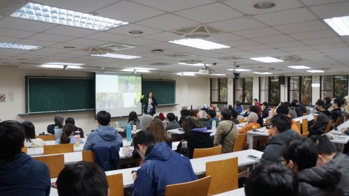 裝飾性圖片