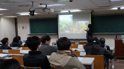 裝飾性圖片