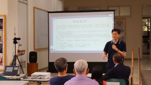 裝飾性圖片