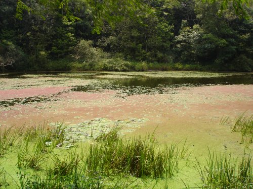 C42_A24_P12.jpg