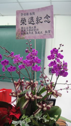 DSC00246.JPG