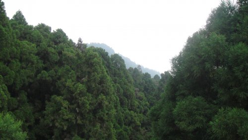 DSC01224.JPG