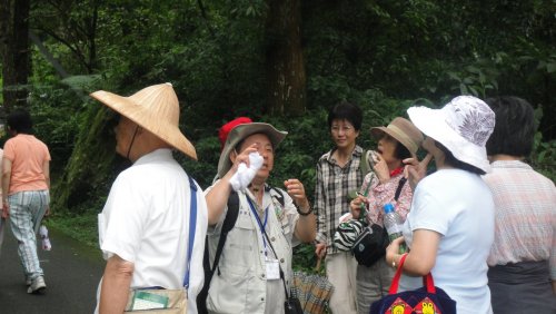 DSC01195.JPG
