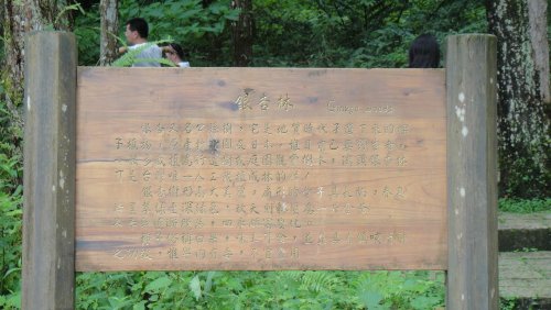 DSC01194.JPG