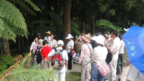 DSC01185.JPG