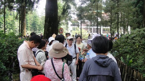 DSC01180.JPG