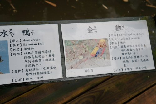 DSC01064.JPG