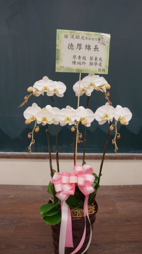 DSC04922.JPG