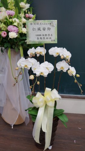 DSC04937.JPG