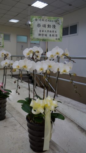 DSC04987.JPG
