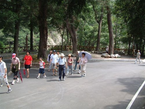 C42_A10_P4.jpg
