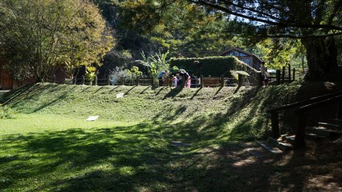 DSC08885.JPG