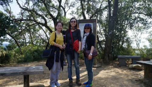 DSC02034-7.JPG